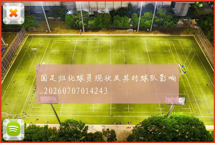 国足归化球员现状及其对球队影响_20260707014243